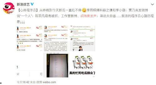 网上热门吃瓜网站是什么,网络热议背后的秘密解析