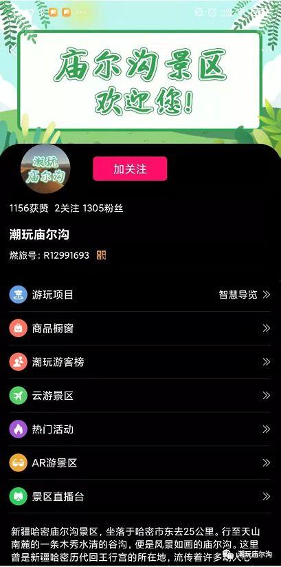网上热门吃瓜网站是什么,网络热议背后的秘密解析