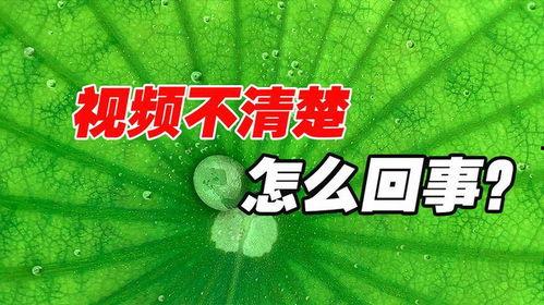抖音热门吃瓜视频素材,一场场引人入胜的“瓜界盛宴”