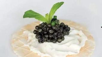 马雨萱吃瓜黑料,揭秘娱乐圈的“黑料”风云