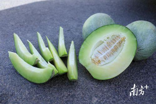 今日天吃最大的瓜,揭秘惊天大瓜，谁是幕后黑手？