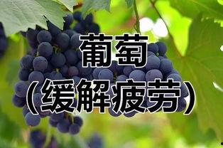 今日头条小暑宜吃瓜,瓜果飘香，养生吃瓜指南来袭！