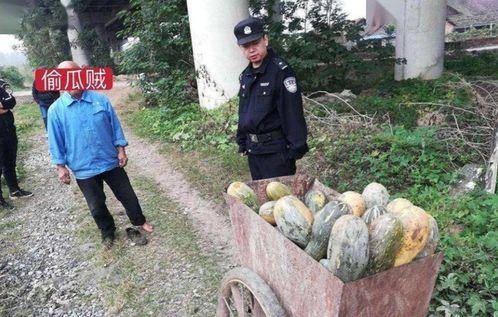 林州热门吃瓜事件真相,真相大白背后的曲折历程