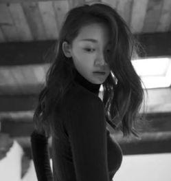 南阳明星网红,闪耀南阳的明星之光