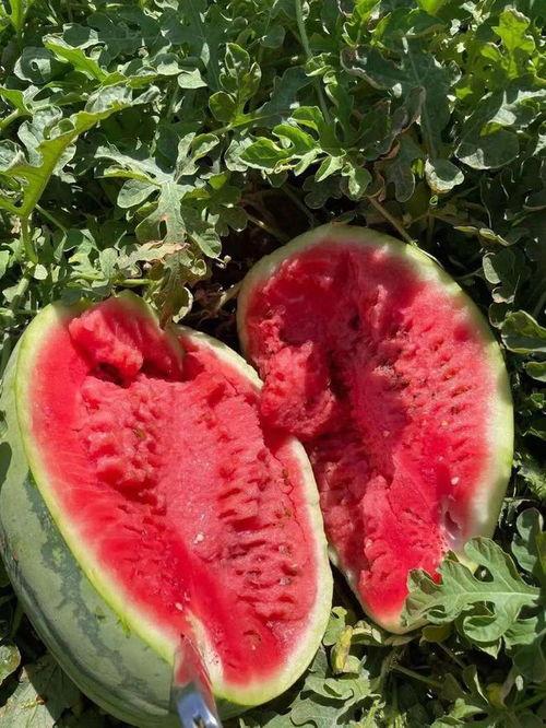 今日吃瓜top10,盘点十大热门事件瞬间