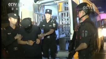 吃瓜黑团伙完整版