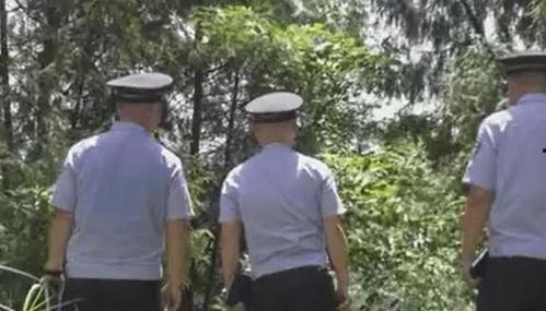 吃瓜黑团伙完整版