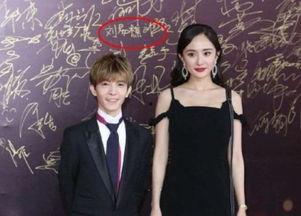 明星网红签字图片,揭秘明星网红签名背后的魅力与故事