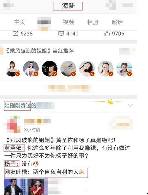 网曝黑料吃瓜专区,吃瓜专区背后的真相与争议