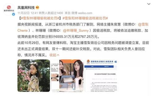 明星网红谈逃税,内幕披露与行业反思