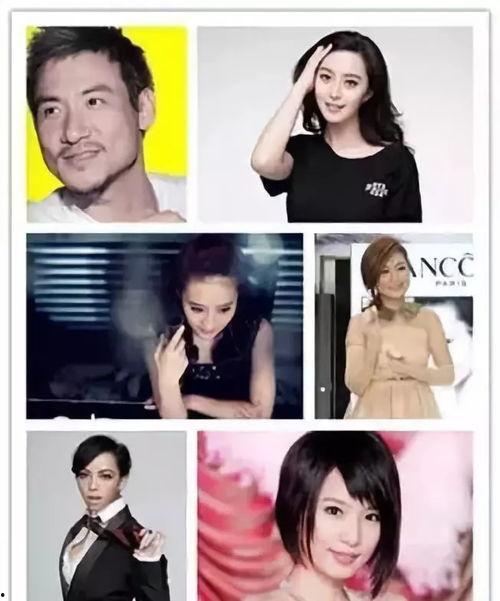 明星网红趣事视频,趣味视频盘点