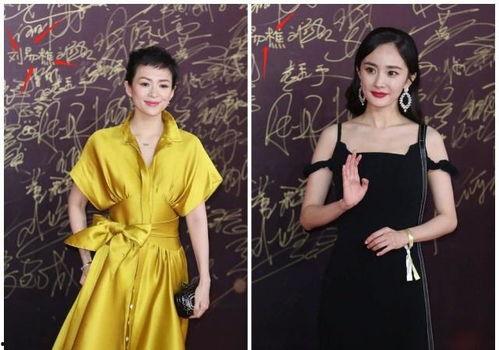 明星网红的墙,揭秘网红与明星的跨界互动