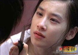 明星网红的墙,揭秘网红与明星的跨界互动