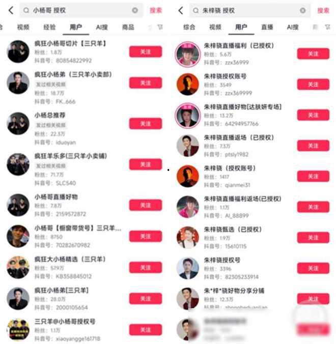 明星网红授权入口,解锁网红经济新趋势