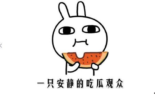 抖音热门吃瓜网红,揭秘热门网红背后的故事