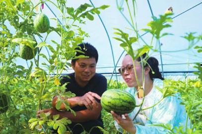 文安吃瓜事件上热门了吗,网络热议背后的真相与反思