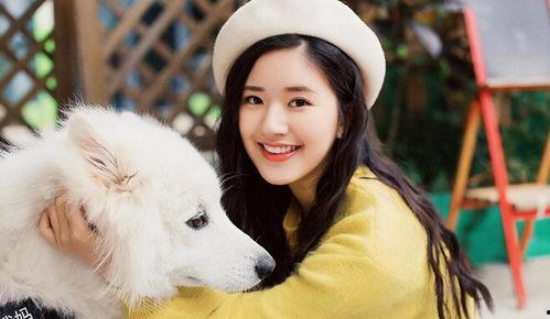 明星网红去甘南,明星网红打卡，探寻藏地秘境之美