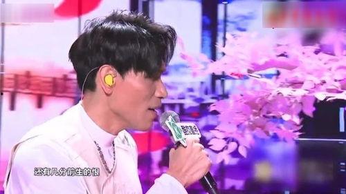 同担明星网红,共筑璀璨星途