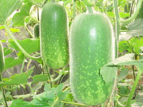 今日份吃瓜每日更新,热点事件盘点，揭秘娱乐圈幕后真相