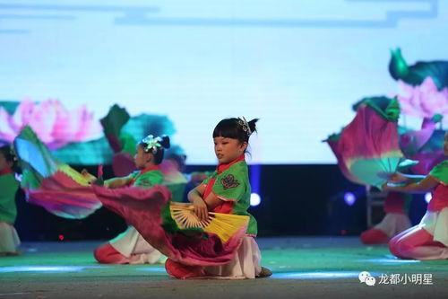 锅庄舞明星网红,舞动民族风潮的璀璨之星